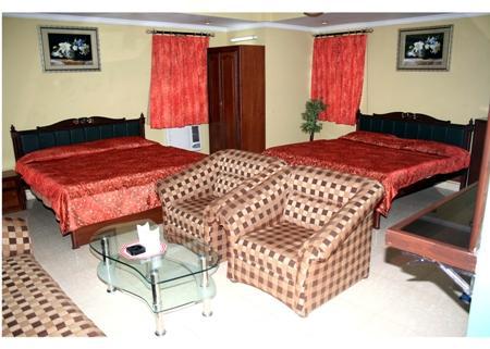Hotel Welcome Palace Delhi (National Capital Territory of India) Exterior foto